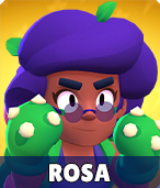 Rosa